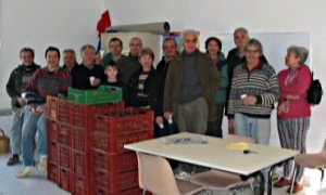 La r&eacute;colte des olives