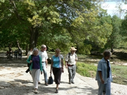 Promenade aux sources de la Bu&egrave;ges