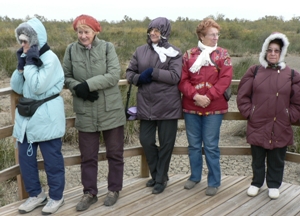 Centre de d&eacute;couverte de Scamandre