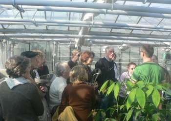 Visite des serres