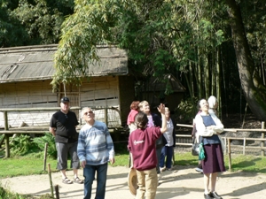 Dans la bambouseraie