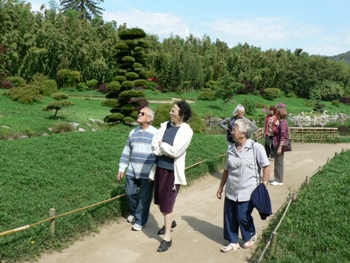 Dans la bambouseraie