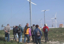 Devant les &eacute;oliennes...