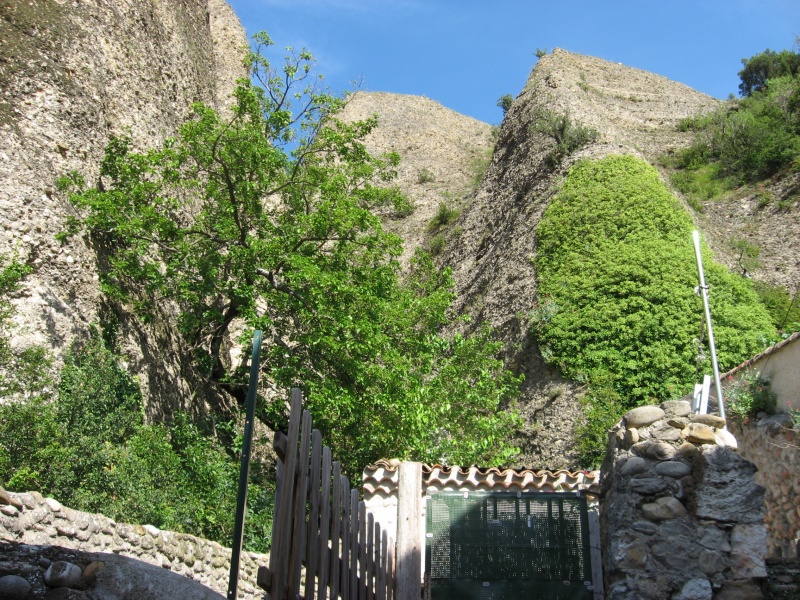 2011_06_Provence_38.jpg