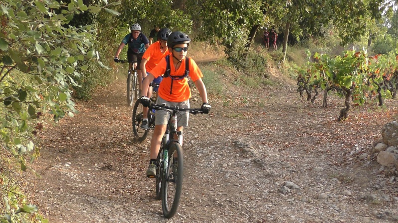 2019-VTT_JCJ_015.jpg