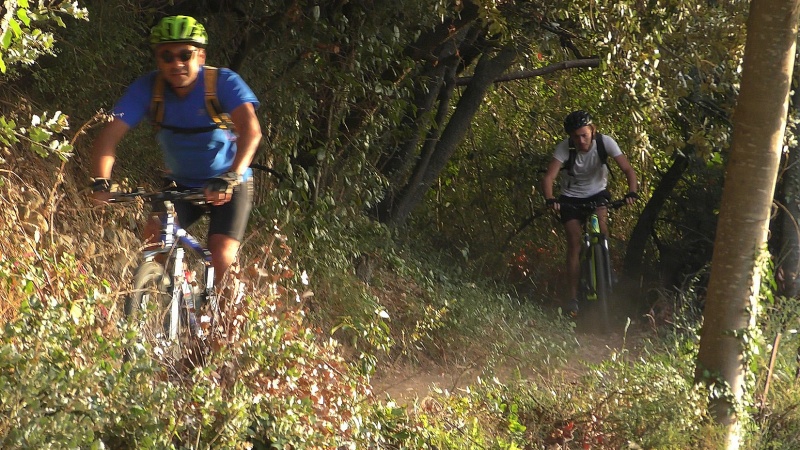 2019-VTT_JCJ_025.jpg