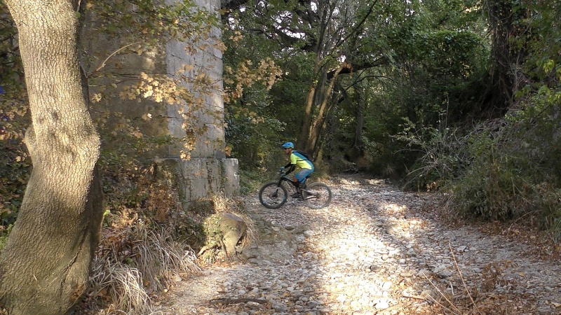 2019-VTT_JCJ_061.jpg