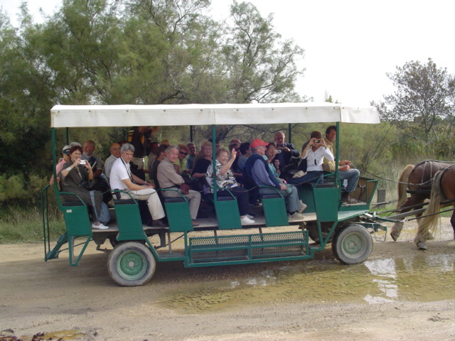 2008_10_Camargue_55.jpg