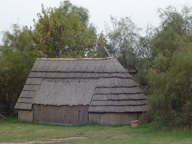 2008_10_Camargue_64.jpg