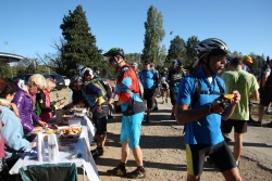 2016_pinedes_du_lez_157.jpg