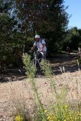2016_pinedes_du_lez_193.jpg