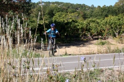 2016_pinedes_du_lez_196.jpg