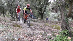 2018-VTT-043.jpg