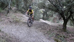 2018-VTT-061.jpg