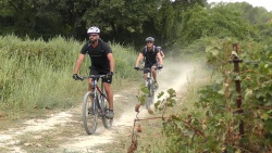 2018-VTT-114.jpg
