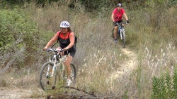2018-VTT-133.jpg