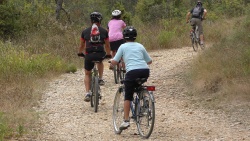 2018-VTT-138.jpg