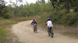 2018-VTT-141.jpg