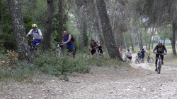 2018-VTT-185.jpg