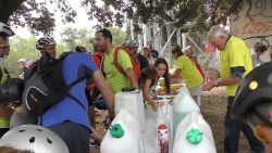 2018-VTT-199.jpg