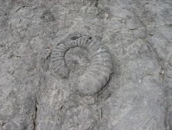2011_06_Provence_52.jpg