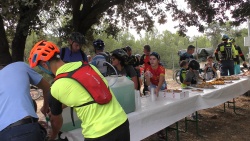 2018-VTT-204.jpg