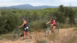 2018-VTT-210.jpg