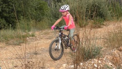 2018-VTT-212.jpg