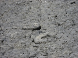 2011_06_Provence_53.jpg