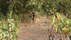 2019-VTT_JCJ_018.jpg