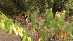 2019-VTT_JCJ_020.jpg
