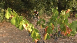 2019-VTT_JCJ_021.jpg