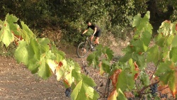 2019-VTT_JCJ_022.jpg