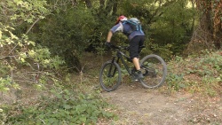 2019-VTT_JCJ_051.jpg