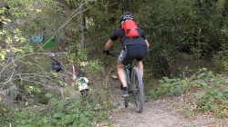 2019-VTT_JCJ_057.jpg