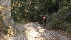 2019-VTT_JCJ_062.jpg