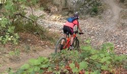 2019-VTT_JCJ_112.jpg