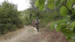 2019-VTT_JCJ_125.jpg