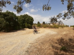 2019-VTT_JMP_025.jpg