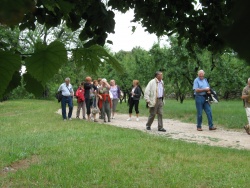 2011_06_Provence_10.jpg