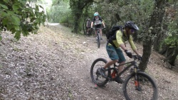 2022_Pinedes_009.jpg