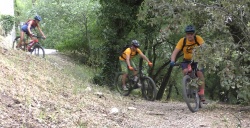 2022_Pinedes_018.jpg