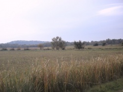 2008_10_Camargue_19.jpg