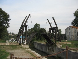 2008_10_Camargue_22.jpg