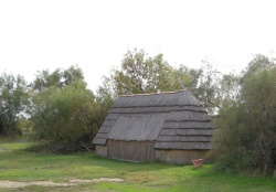 2008_10_Camargue_37.jpg