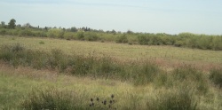 2008_10_Camargue_39.jpg