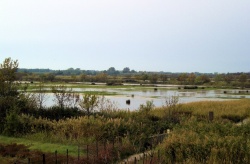 2008_10_Camargue_48.jpg
