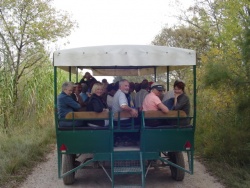 2008_10_Camargue_56.jpg