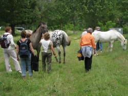 2008_06_Aveyron_026.jpg