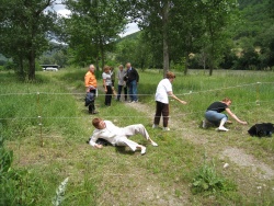 2008_06_Aveyron_027.jpg